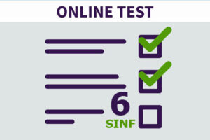 INFORMATIKA 6-SINF 4.1 (2025)